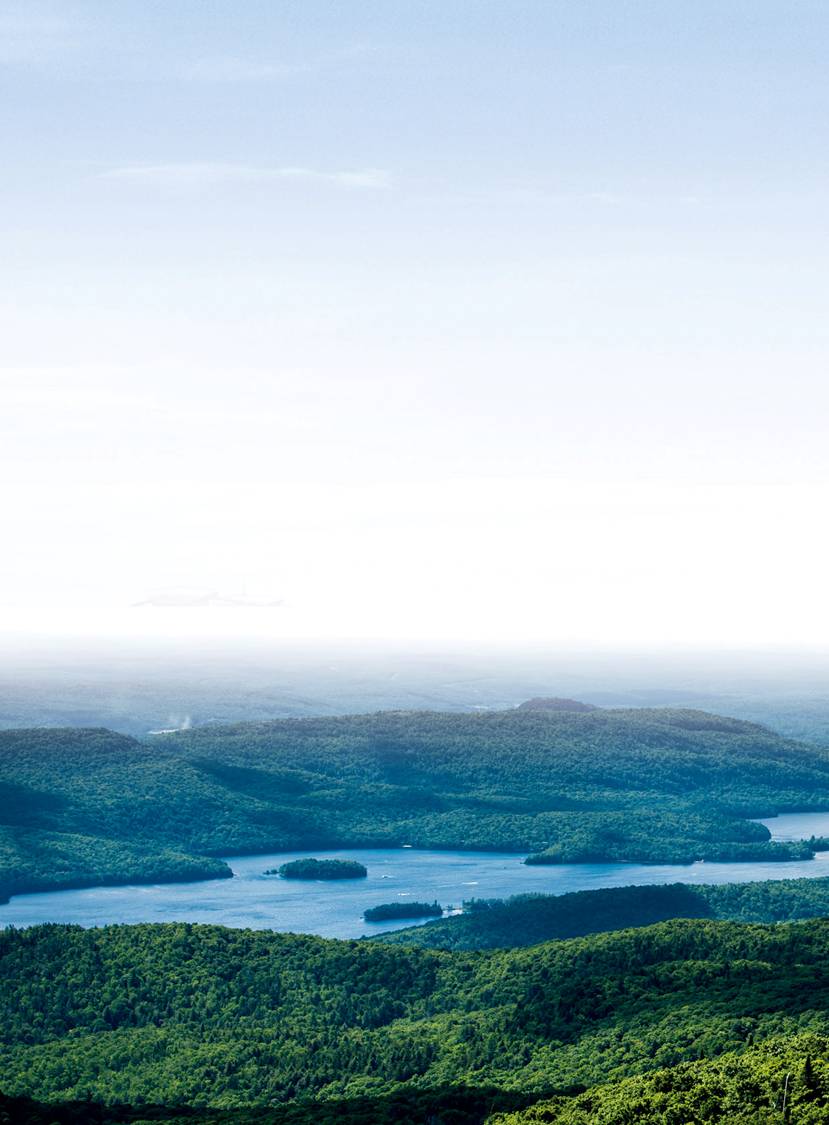 ���������ٽ����������ֲ����ȡ����