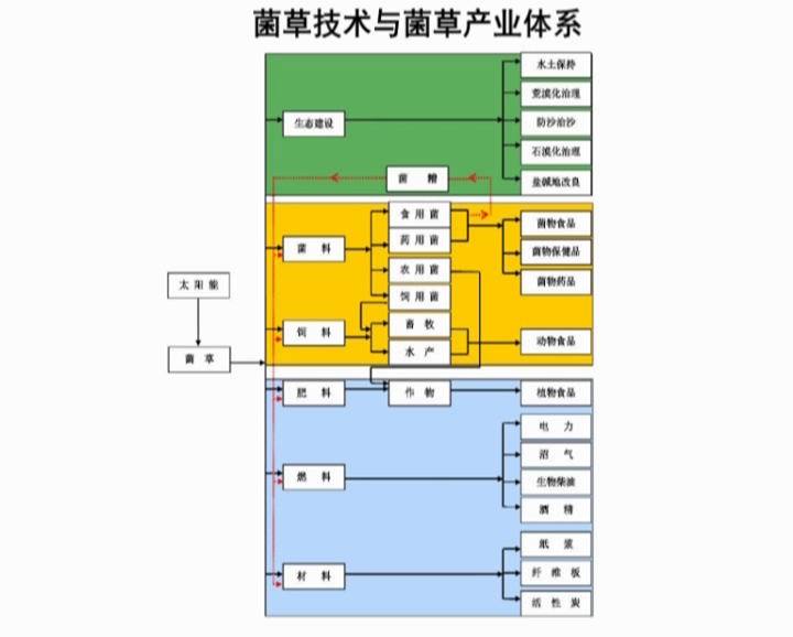 �޾�����Ŀ