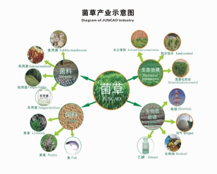 �޾�����Ŀ