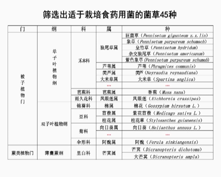 �޾�����Ŀ