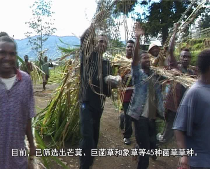 �޾�����Ŀ