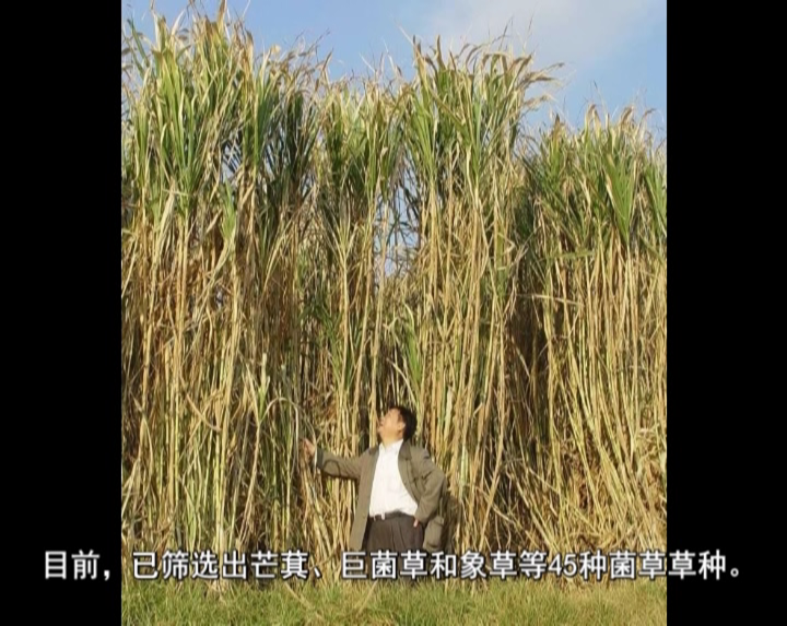 �޾�����Ŀ