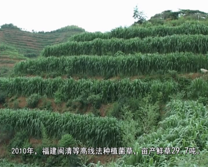 �޾�����Ŀ