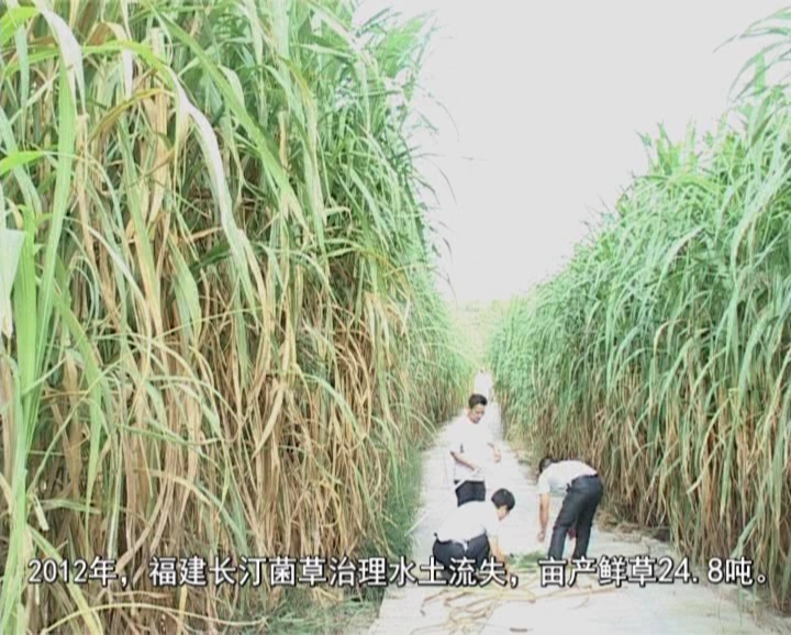 �޾�����Ŀ