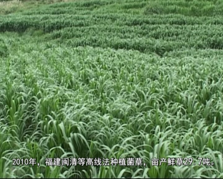 �޾�����Ŀ