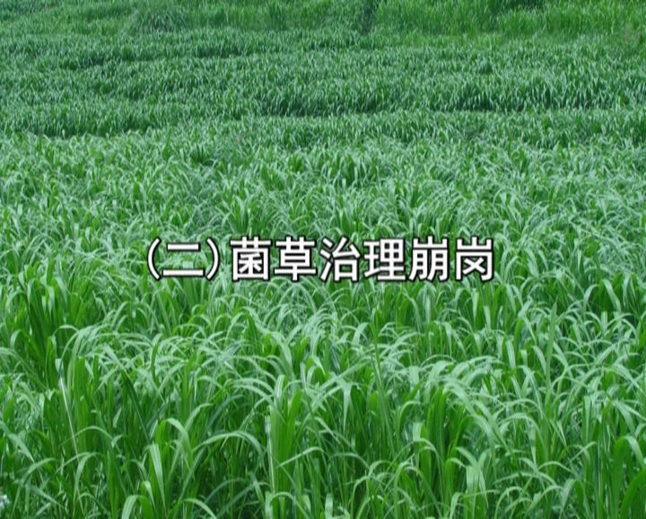 �޾�����Ŀ