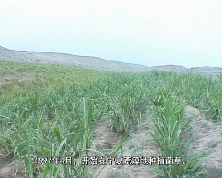 �޾�����Ŀ