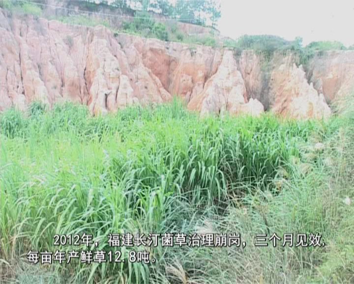 �޾�����Ŀ