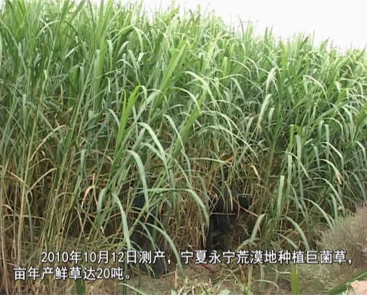 �޾�����Ŀ