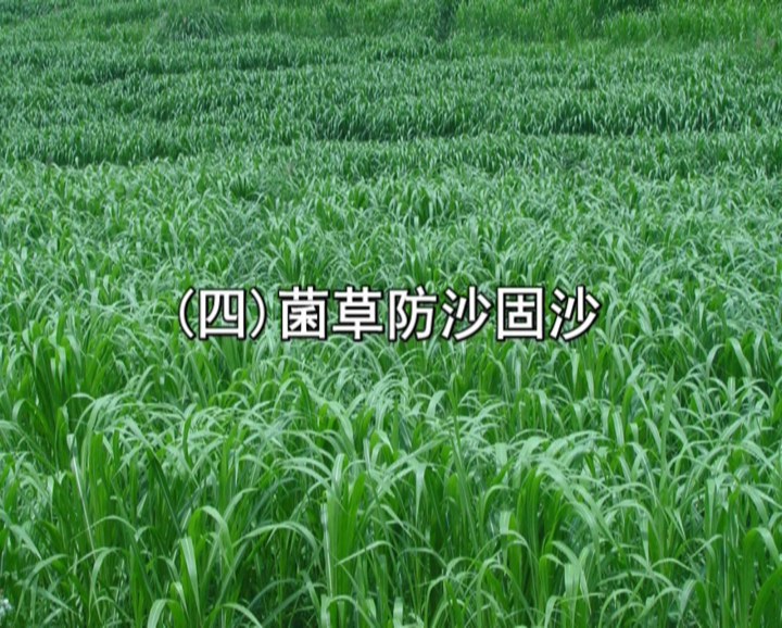 �޾�����Ŀ