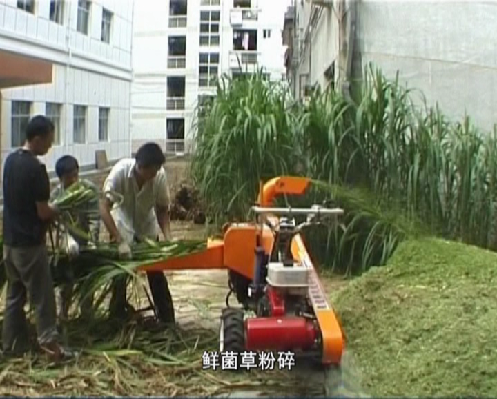 �޾�����Ŀ