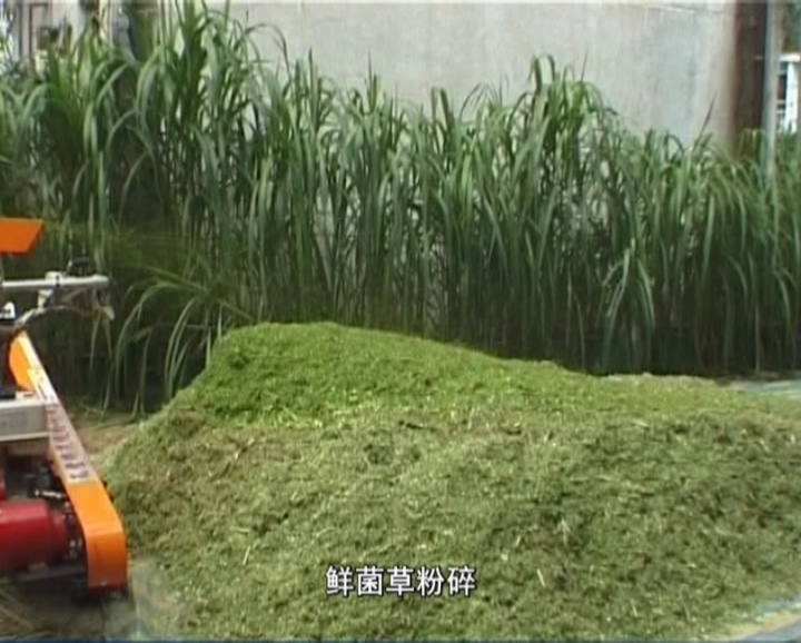 �޾�����Ŀ