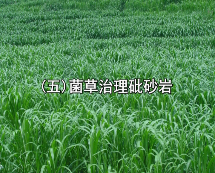 �޾�����Ŀ