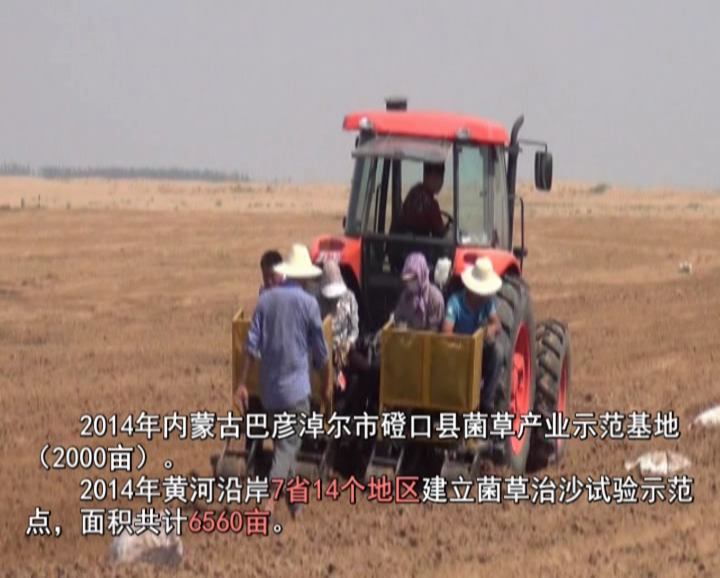 �޾�����Ŀ