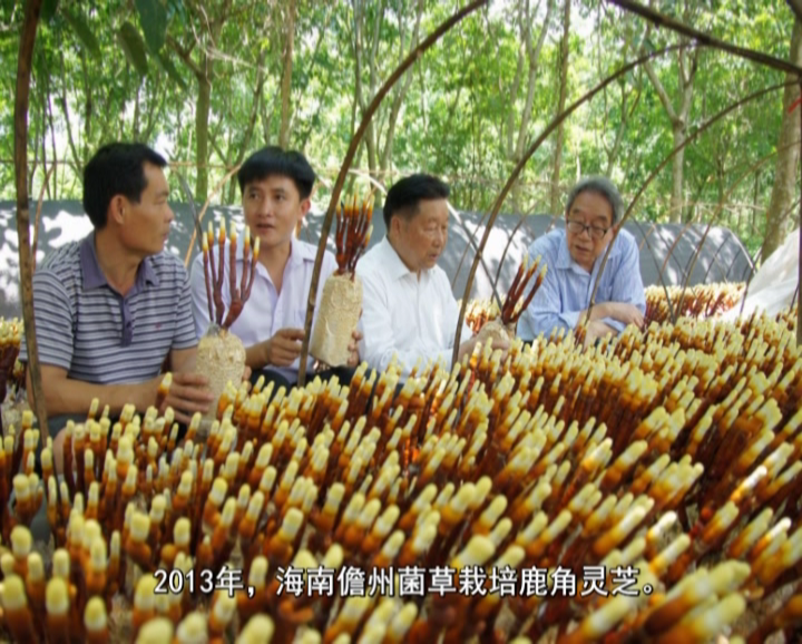 �޾�����Ŀ