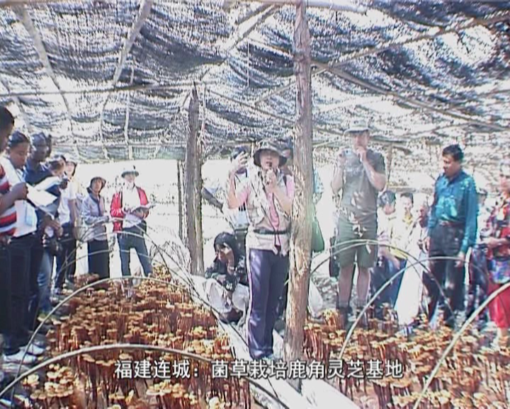 �޾�����Ŀ