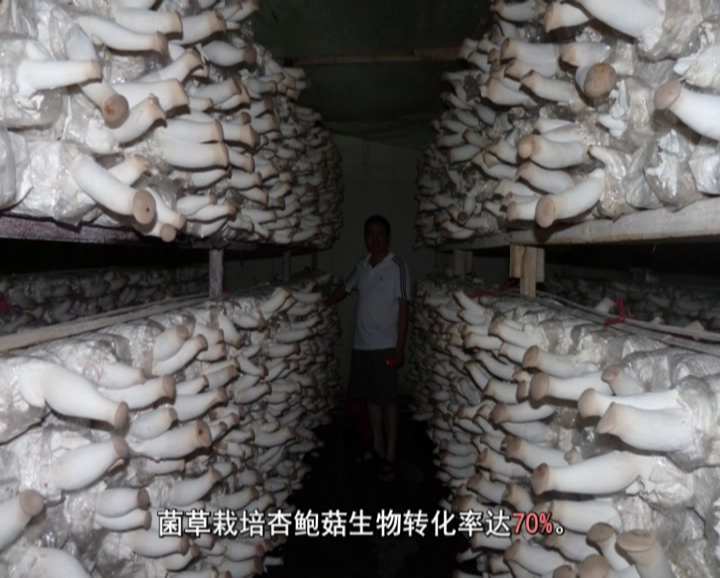 �޾�����Ŀ