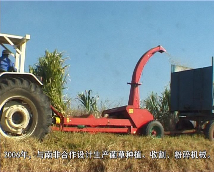 �޾�����Ŀ