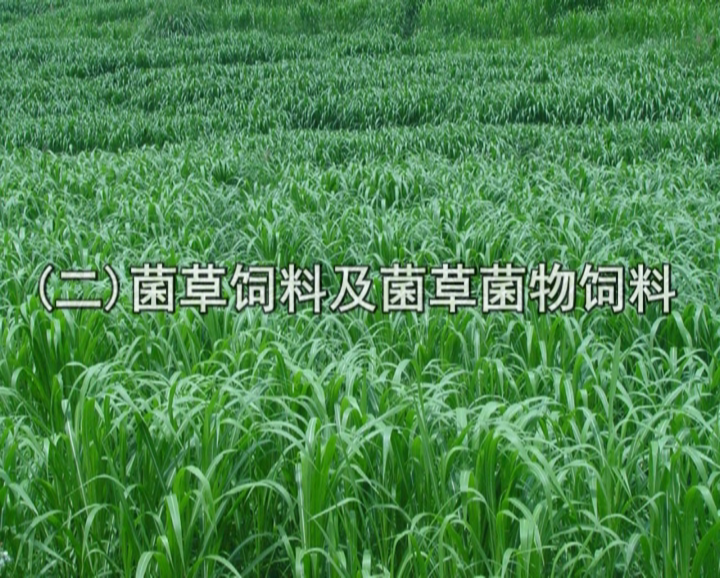 �޾�����Ŀ