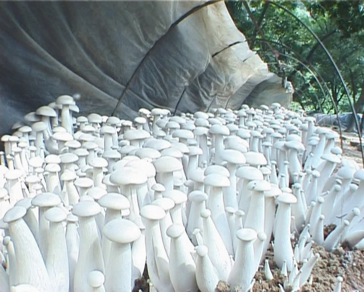 �޾�����Ŀ