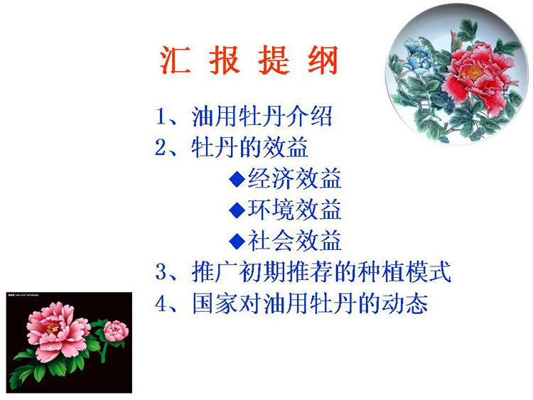 ĵ����ҵ��Ŀ