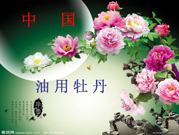 ĵ����ҵ��Ŀ