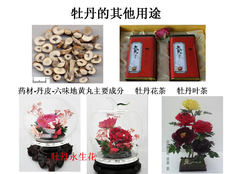 ĵ����ҵ��Ŀ