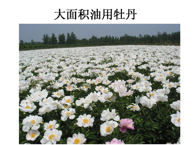 ĵ����ҵ��Ŀ