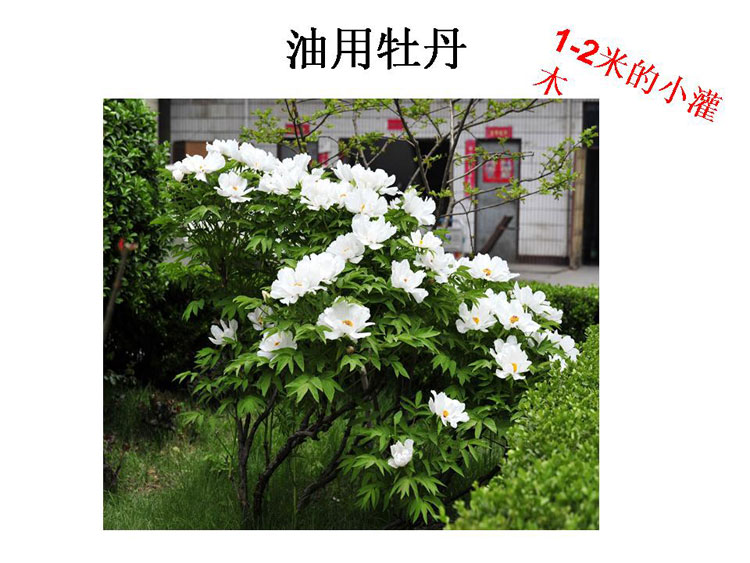 ĵ����ҵ��Ŀ