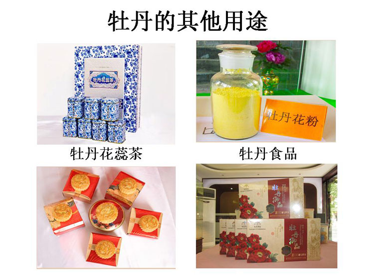 ĵ����ҵ��Ŀ