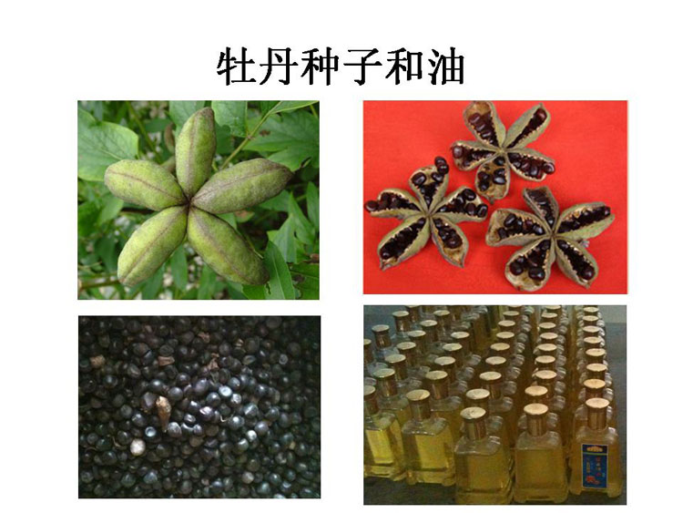 ĵ����ҵ��Ŀ