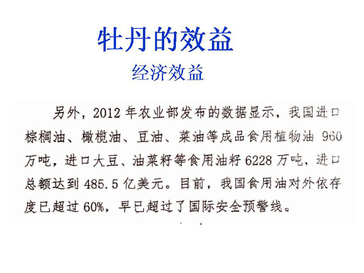 ĵ����ҵ��Ŀ