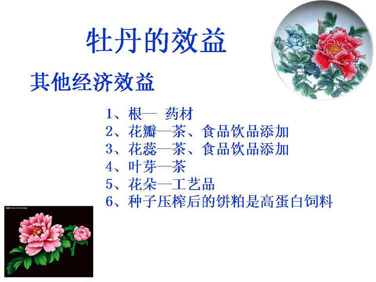 ĵ����ҵ��Ŀ