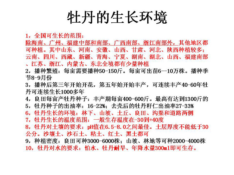 ĵ����ҵ��Ŀ