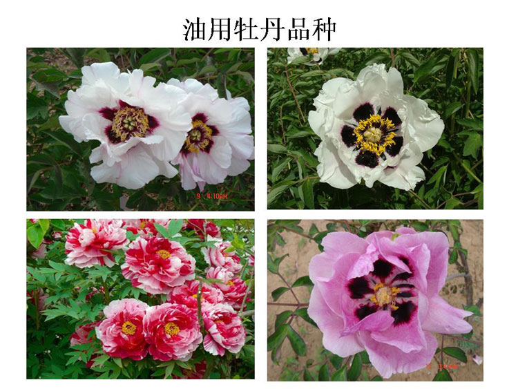 ĵ����ҵ��Ŀ