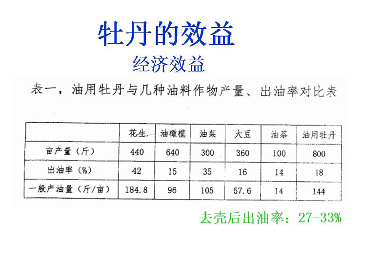 ĵ����ҵ��Ŀ