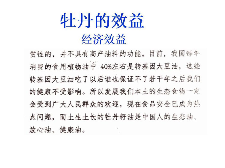 ĵ����ҵ��Ŀ