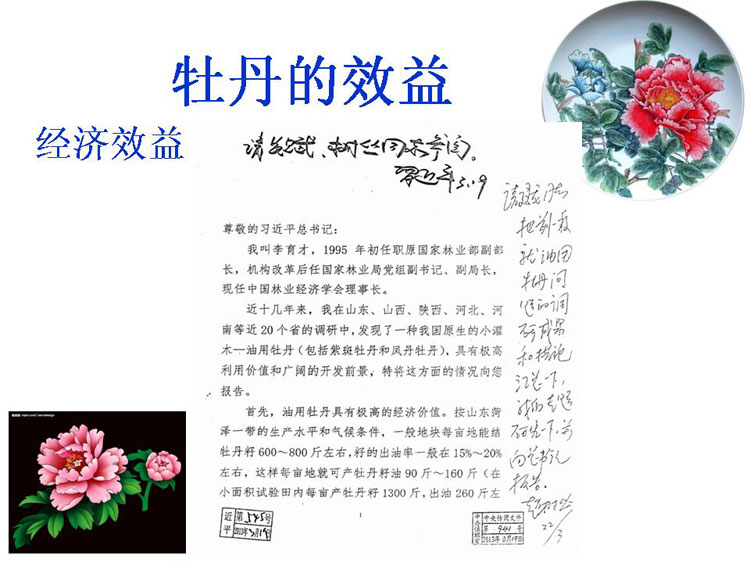 ĵ����ҵ��Ŀ