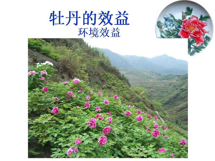 ĵ����ҵ��Ŀ