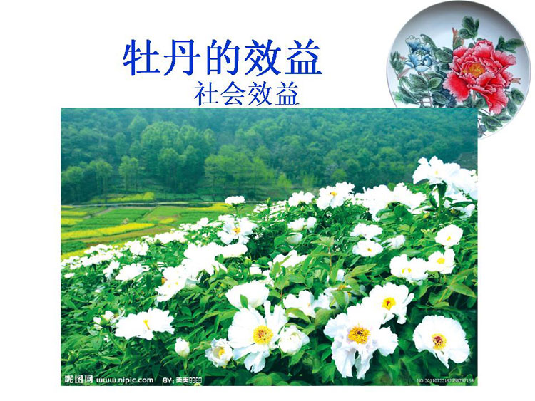 ĵ����ҵ��Ŀ