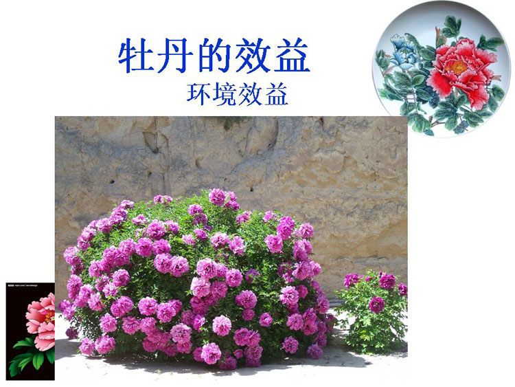 ĵ����ҵ��Ŀ