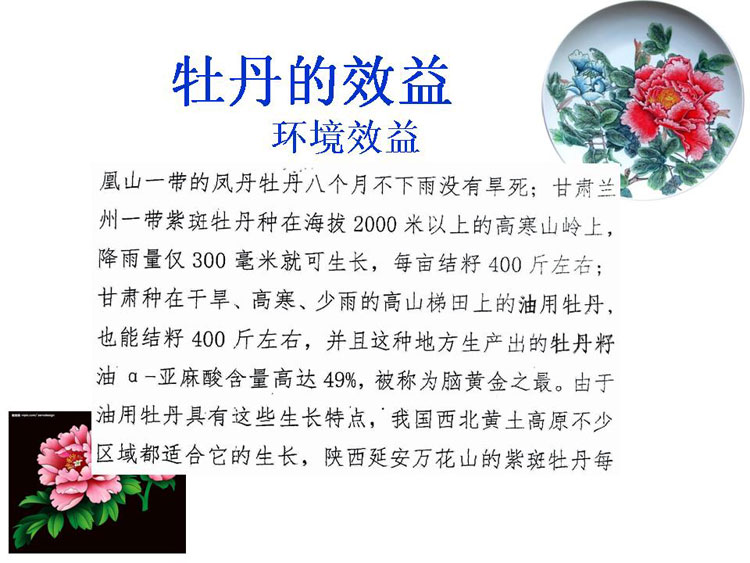 ĵ����ҵ��Ŀ