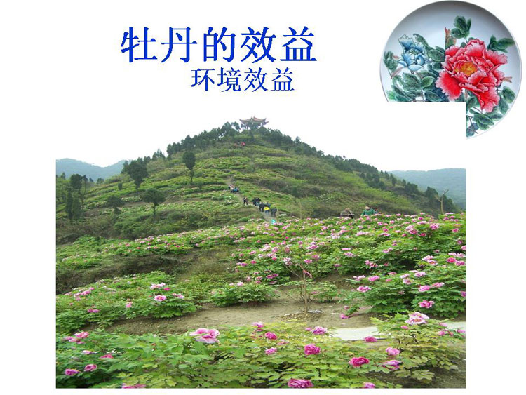 ĵ����ҵ��Ŀ