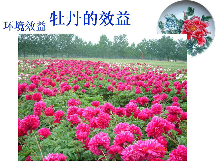 ĵ����ҵ��Ŀ