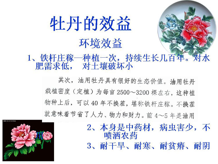 ĵ����ҵ��Ŀ