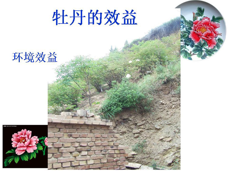 ĵ����ҵ��Ŀ