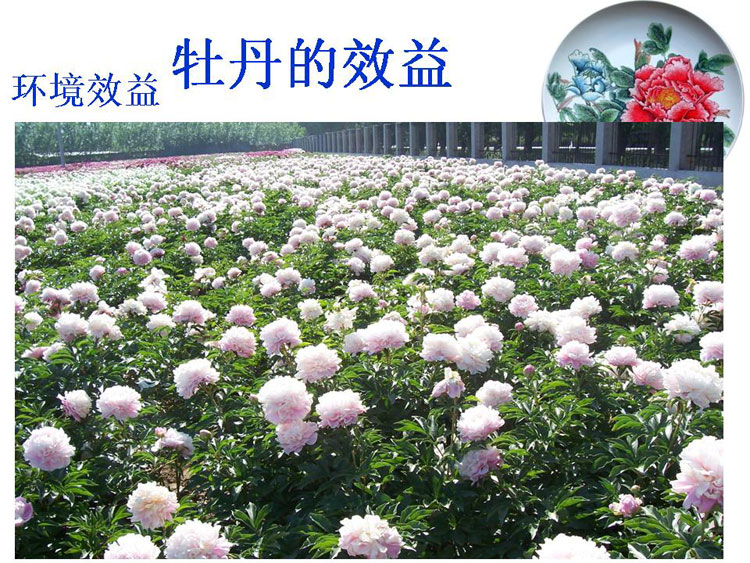 ĵ����ҵ��Ŀ