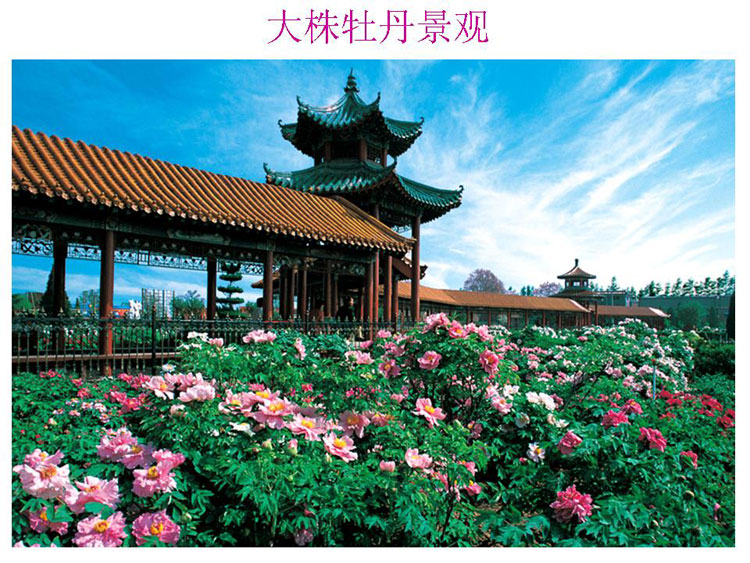 ĵ����ҵ��Ŀ