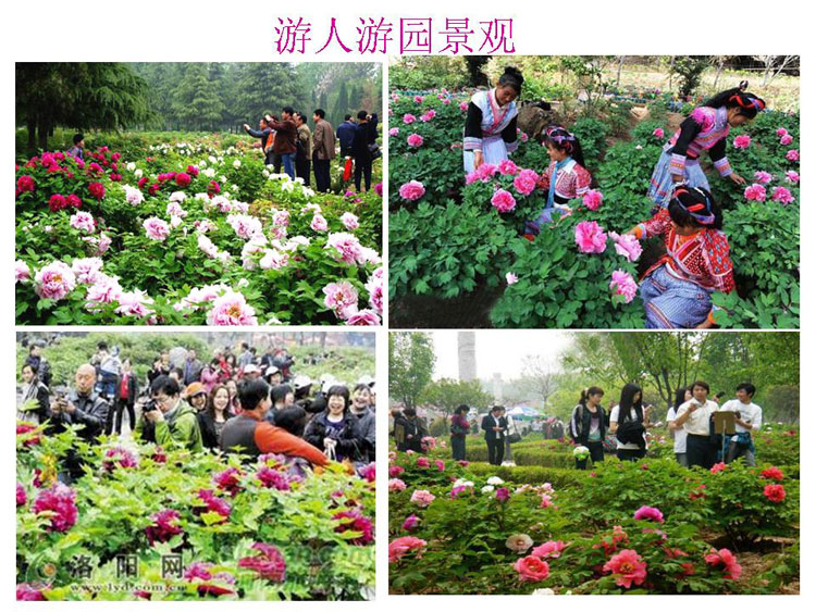 ĵ����ҵ��Ŀ