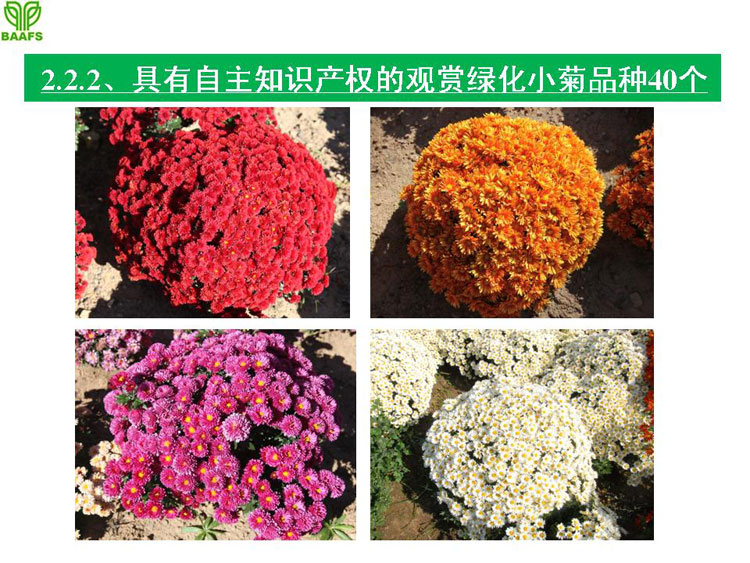 �ջ���ҵ��Ŀ